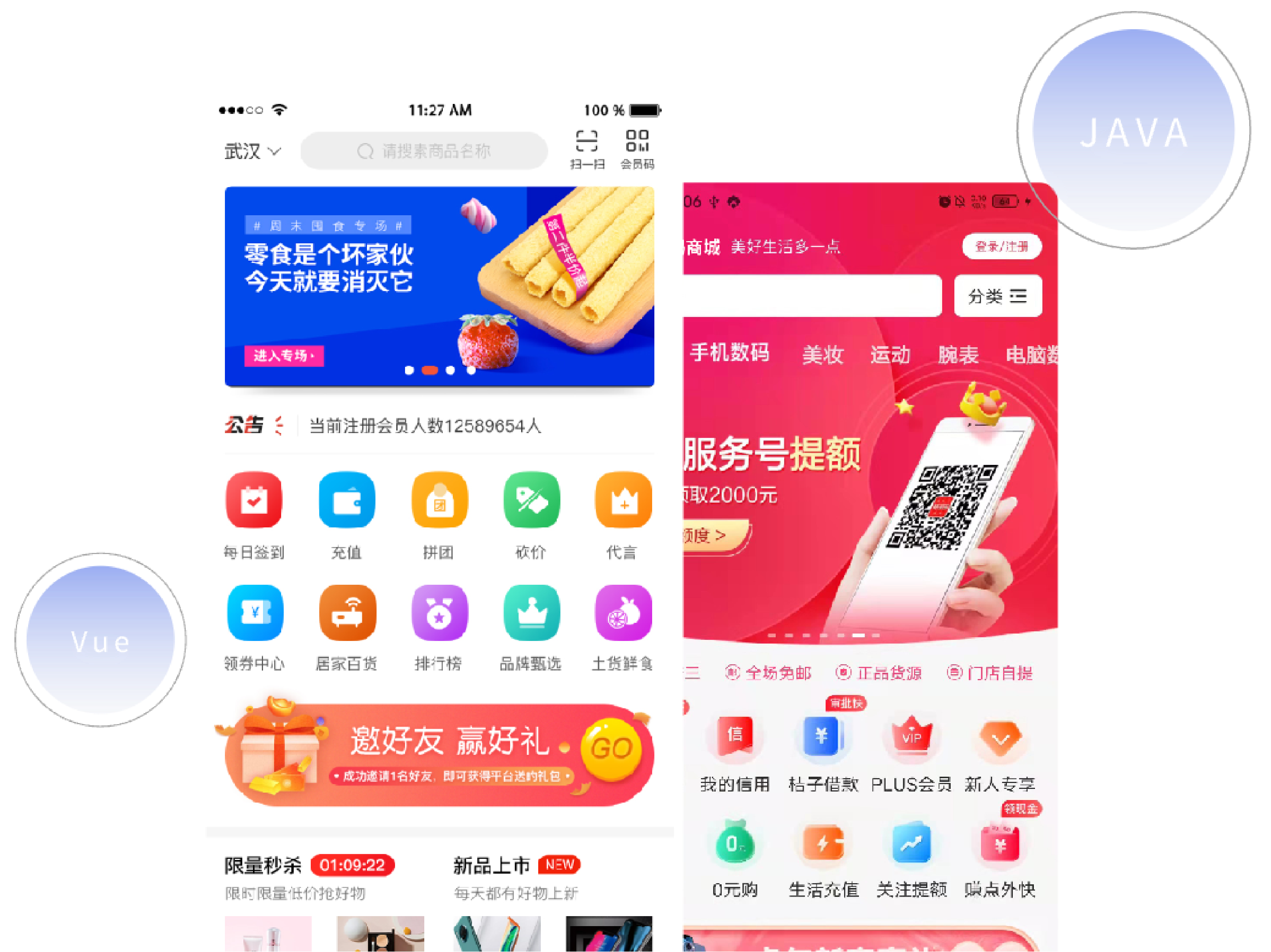 源码交付与二次开发能力示意图